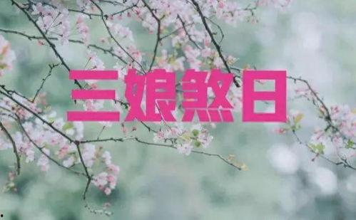 三七日,探寻神秘的三七文化之旅